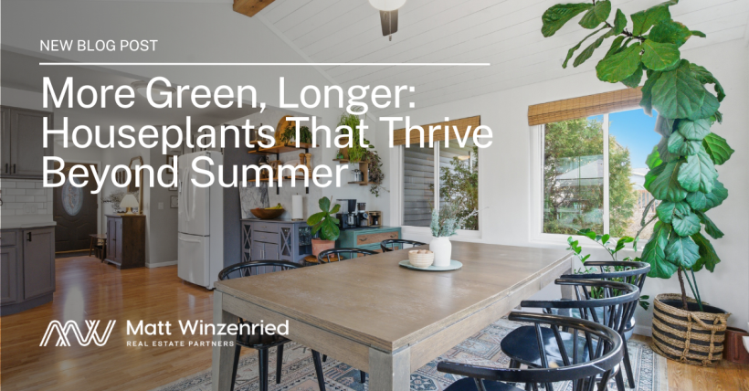 More Green, Longer: Houseplants That Thrive Beyond Summer